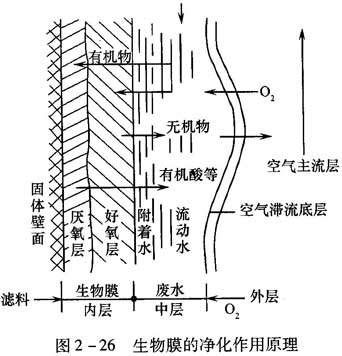 生物膜的净化作用原理图